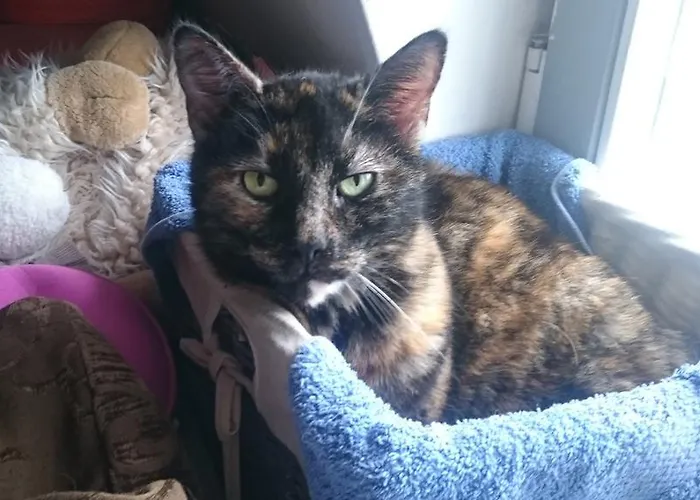 Gerlachus Valkenburg aan de Geul