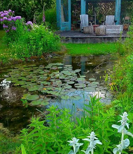 Gerlachus Bed & Breakfast 3*